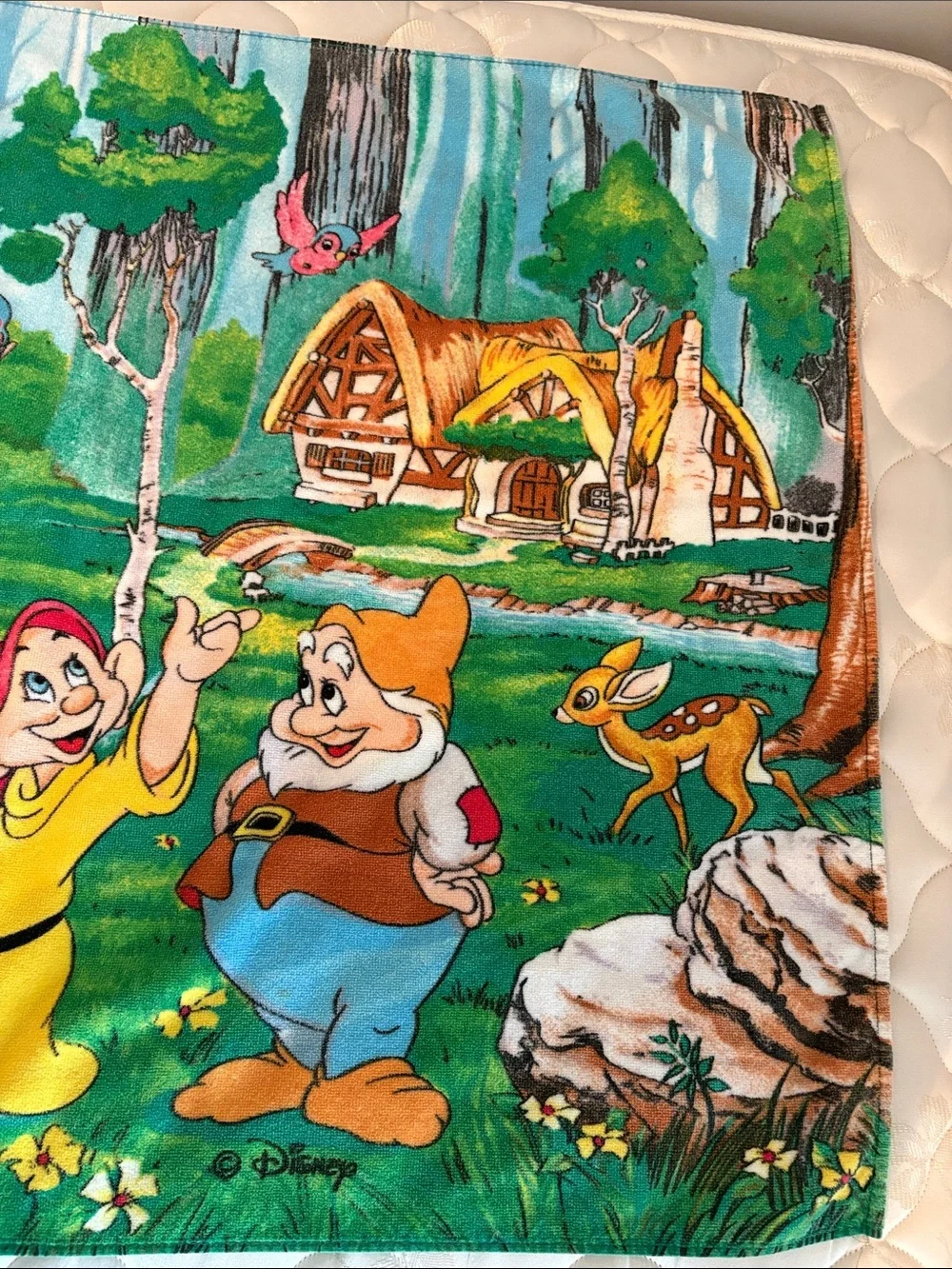 Vintage Disney Snow White and Seven Dwarfs Beach Blanket